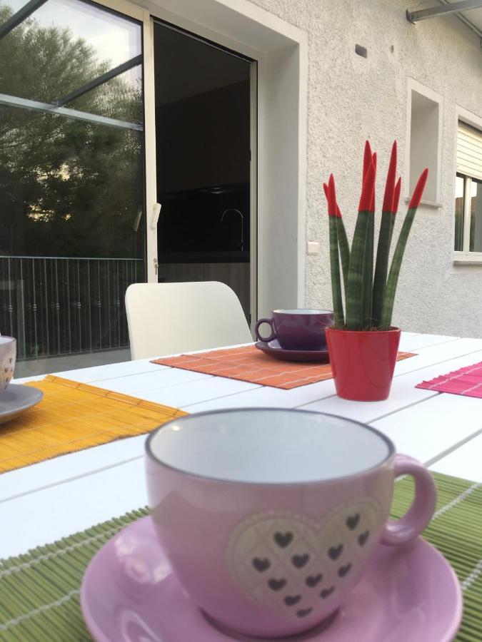 דירות אולביה Casa Charme מראה חיצוני תמונה